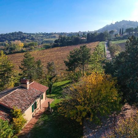 Il Vigneto Cottage Bertinoro Εξωτερικό φωτογραφία