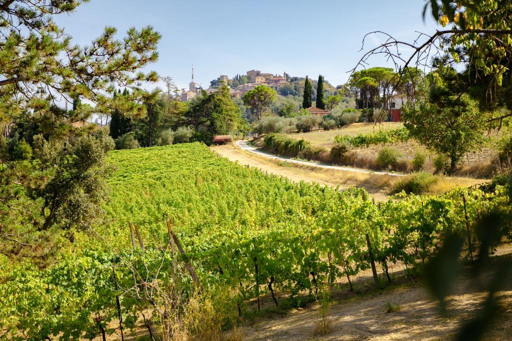 Il Vigneto Cottage Bertinoro Εξωτερικό φωτογραφία