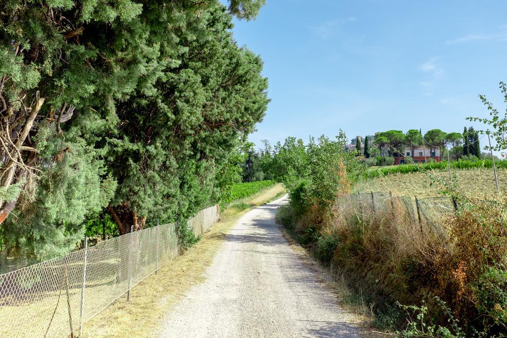 Il Vigneto Cottage Bertinoro Εξωτερικό φωτογραφία