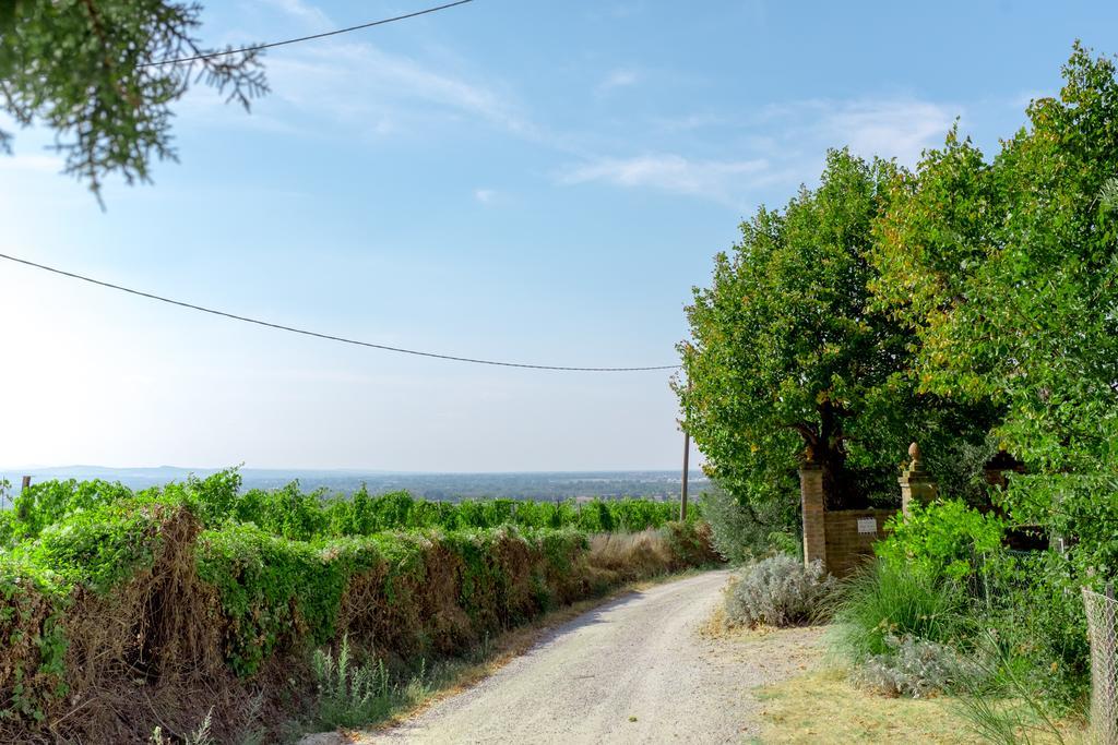 Il Vigneto Cottage Bertinoro Εξωτερικό φωτογραφία