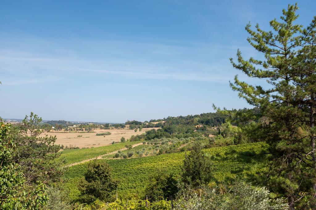 Il Vigneto Cottage Bertinoro Εξωτερικό φωτογραφία